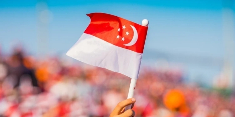 新加坡國慶期間售賣印有國徽 T 恤被認定違規(新加坡跨境賣家請注意) 新加坡國慶期間售賣印有國徽 T 恤被認定違規(新加坡跨境賣家請注意)