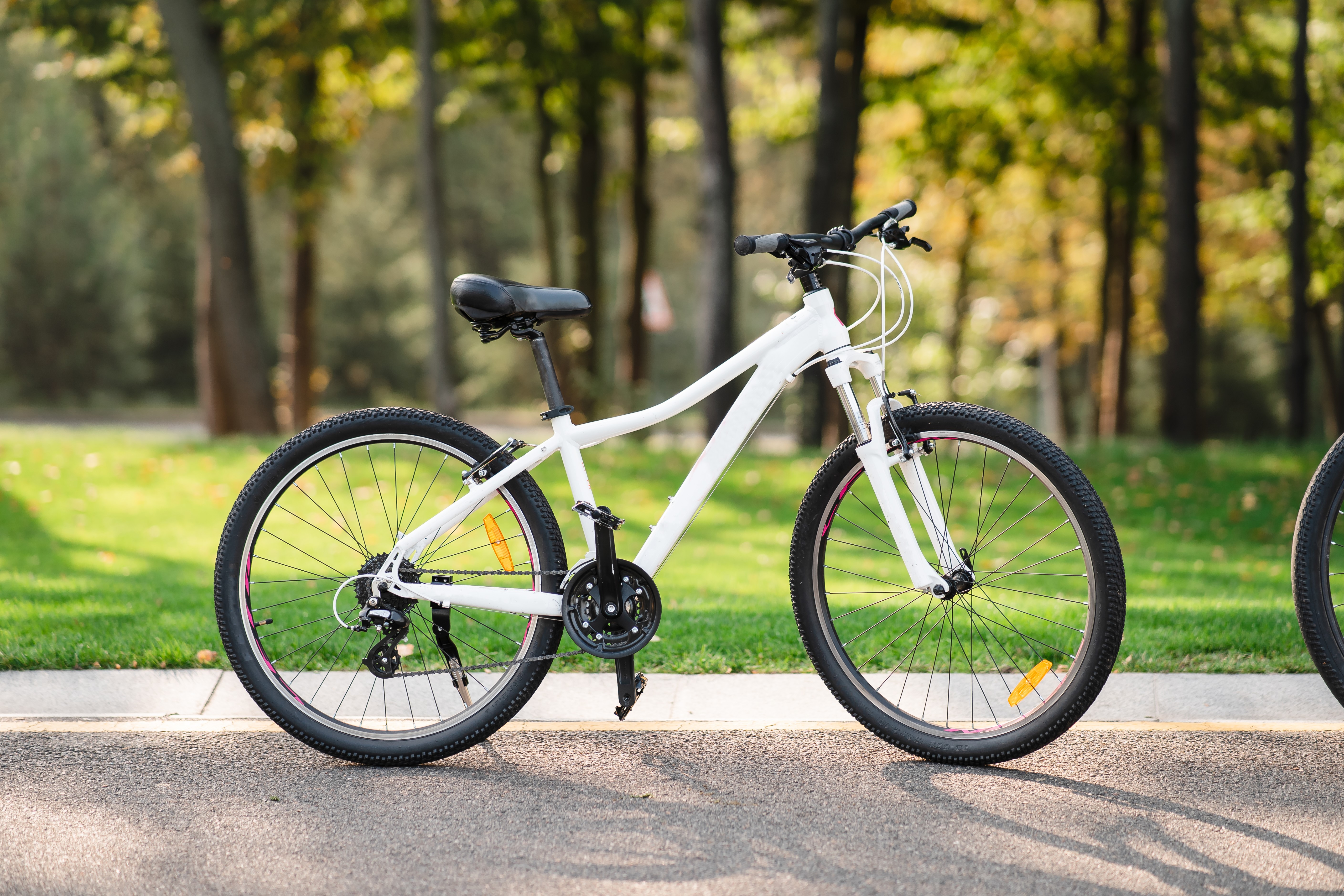 環球視野丨騎行正值熱潮,把握自行車市場行業趨勢! 環球視野丨騎行正值熱潮,把握自行車市場行業趨勢!